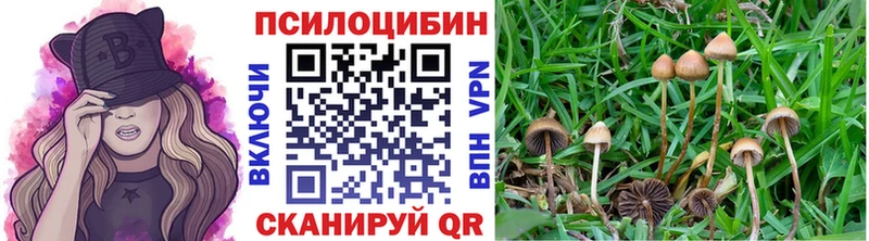 Галлюциногенные грибы прущие грибы  Купить где  Волгореченск 